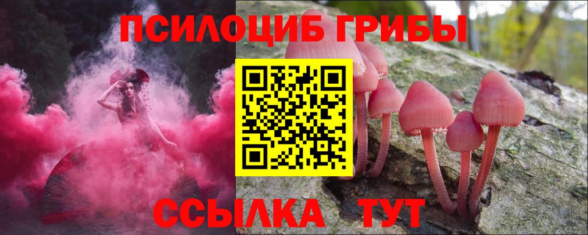 Сердобск  Галлюциногенные грибы Cubensis  Вход с VPN  Псилоцибиновые грибы мухоморы 